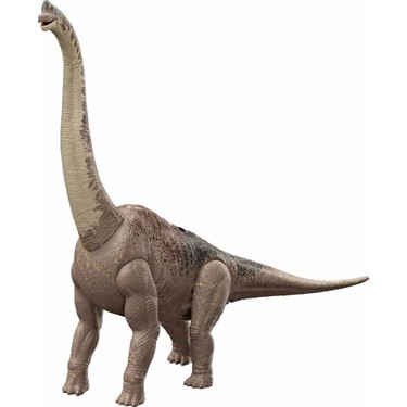 Brachiosaurus Boyunu Kesin Ölçülerle Keşfetmek [2026 Güncellemesi]